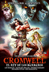 The Sword and the Sorcerer (1982) (DVD)